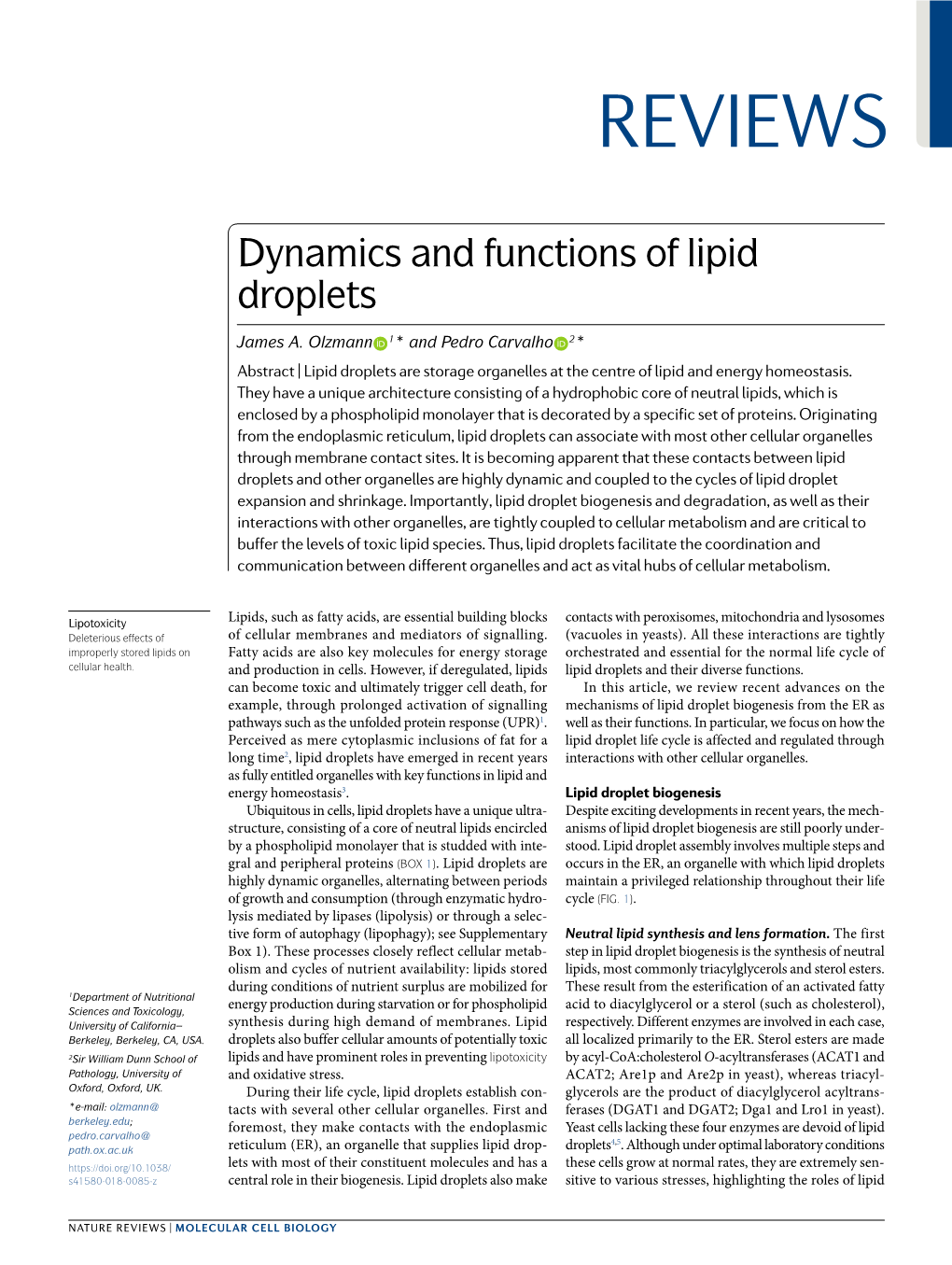 Dynamics and Functions of Lipid Droplets
