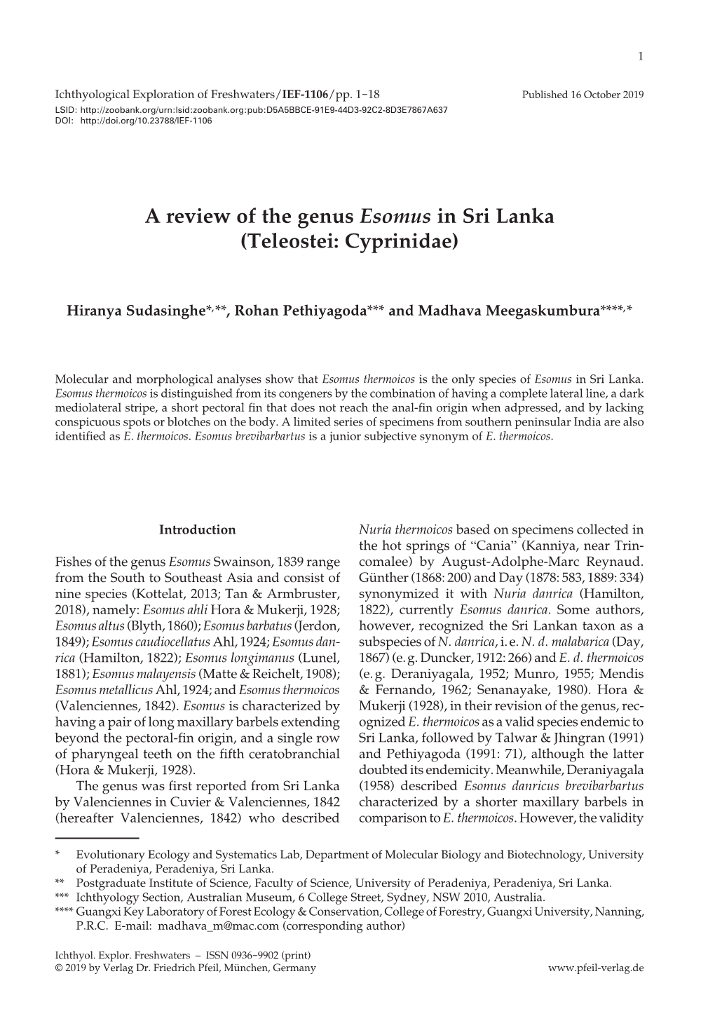 A Review of the Genus Esomus in Sri Lanka (Teleostei: Cyprinidae)
