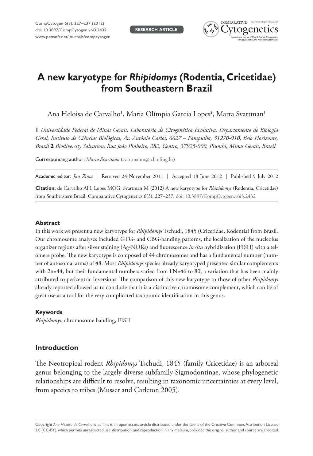 A New Karyotype for Rhipidomys (Rodentia, Cricetidae) from Southeastern Brazil