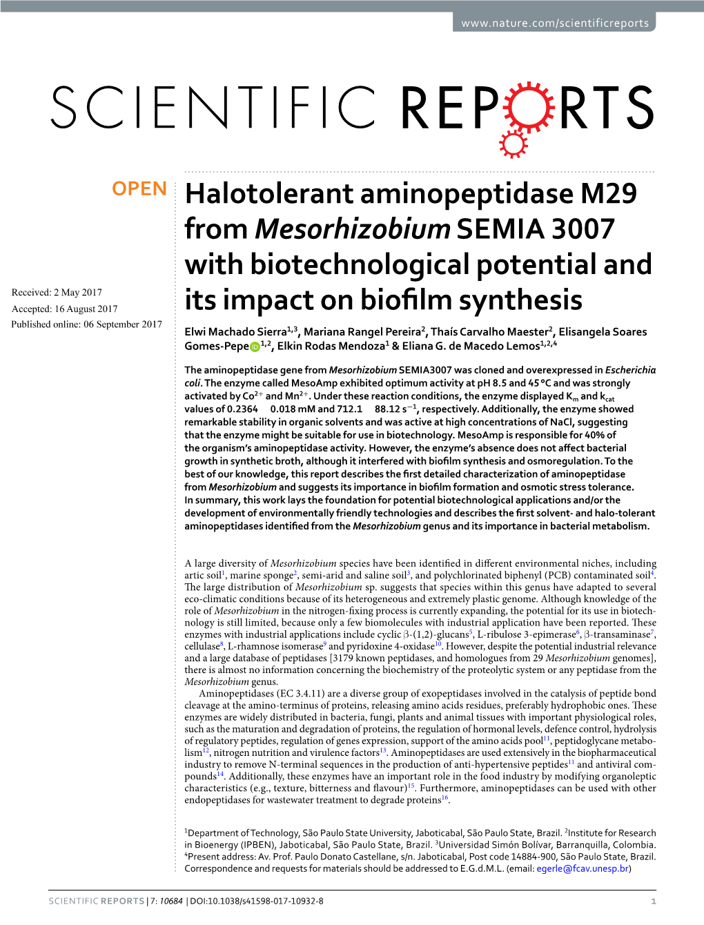 Halotolerant Aminopeptidase M29 from Mesorhizobium SEMIA 3007