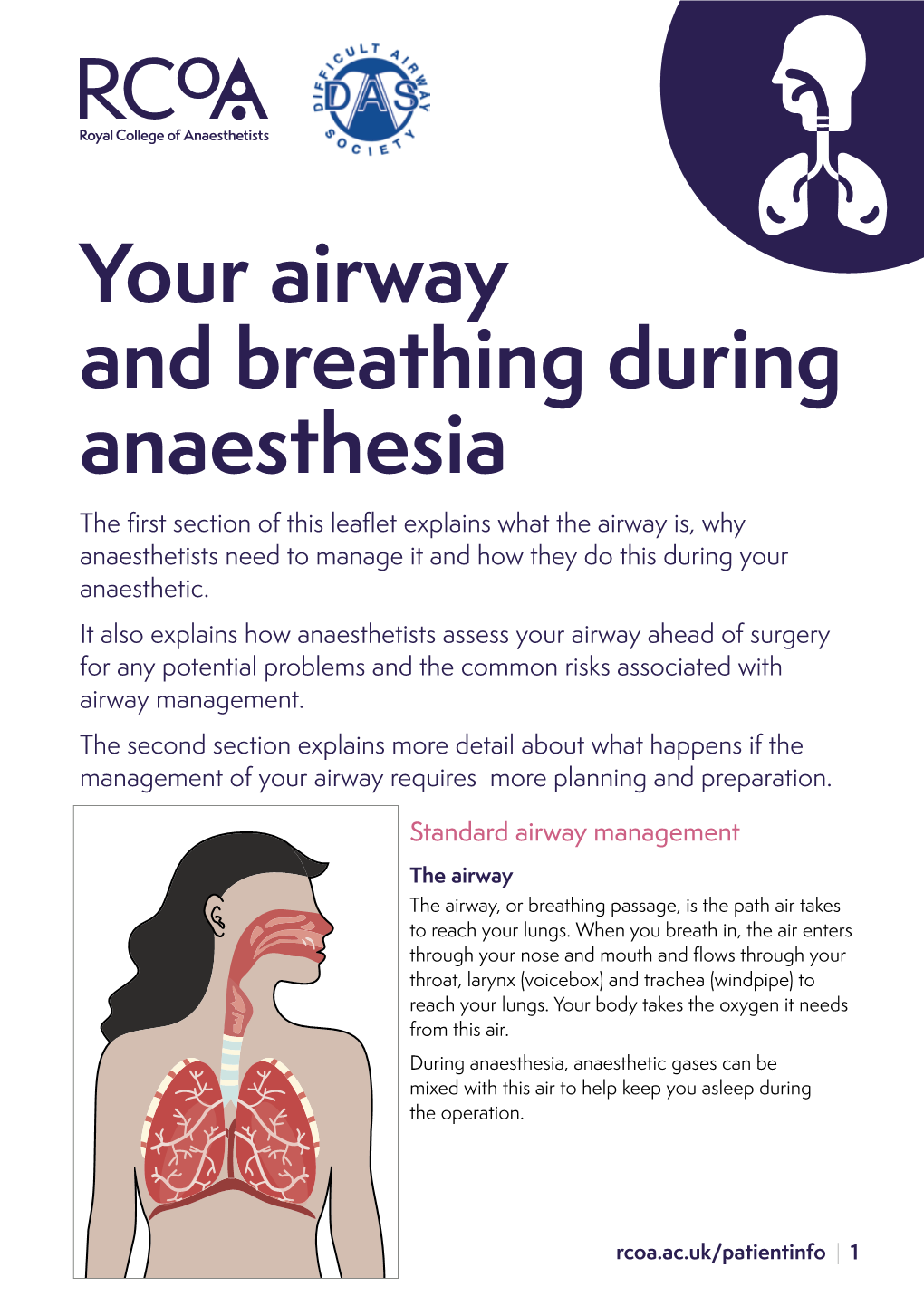 Your Airway and Breathing During Anaesthesia