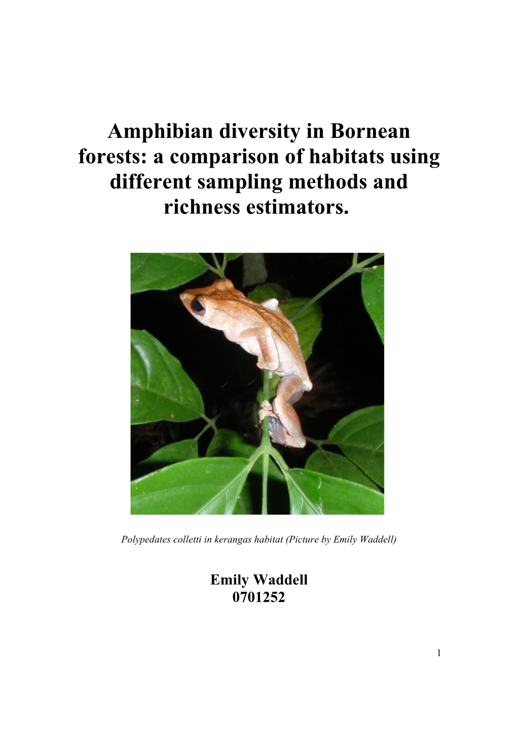 Amphibian Diversity in Bornean Forests: a Comparison of Habitats Using Different Sampling Methods and Richness Estimators