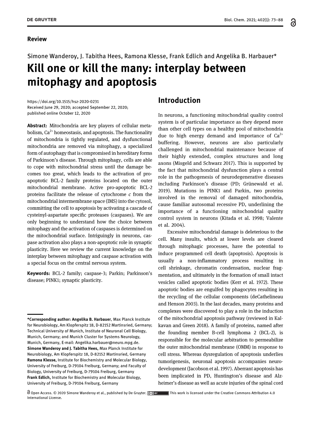 Kill One Or Kill the Many: Interplay Between Mitophagy and Apoptosis