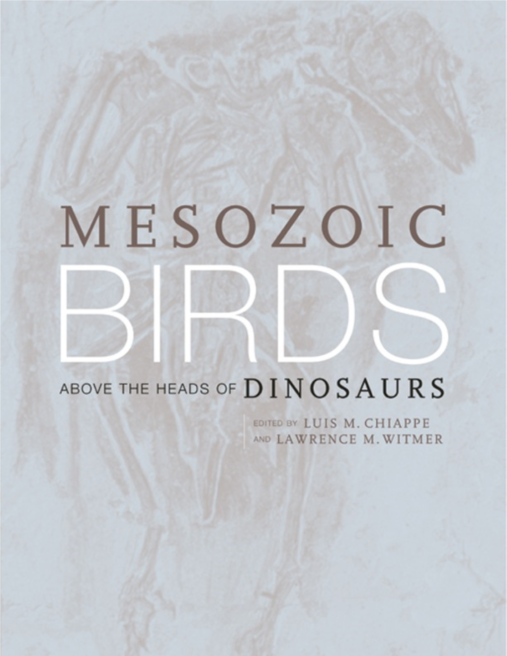 Witmer, L. M. 2002. the Debate on Avian Ancestry: Phylogeny, Function