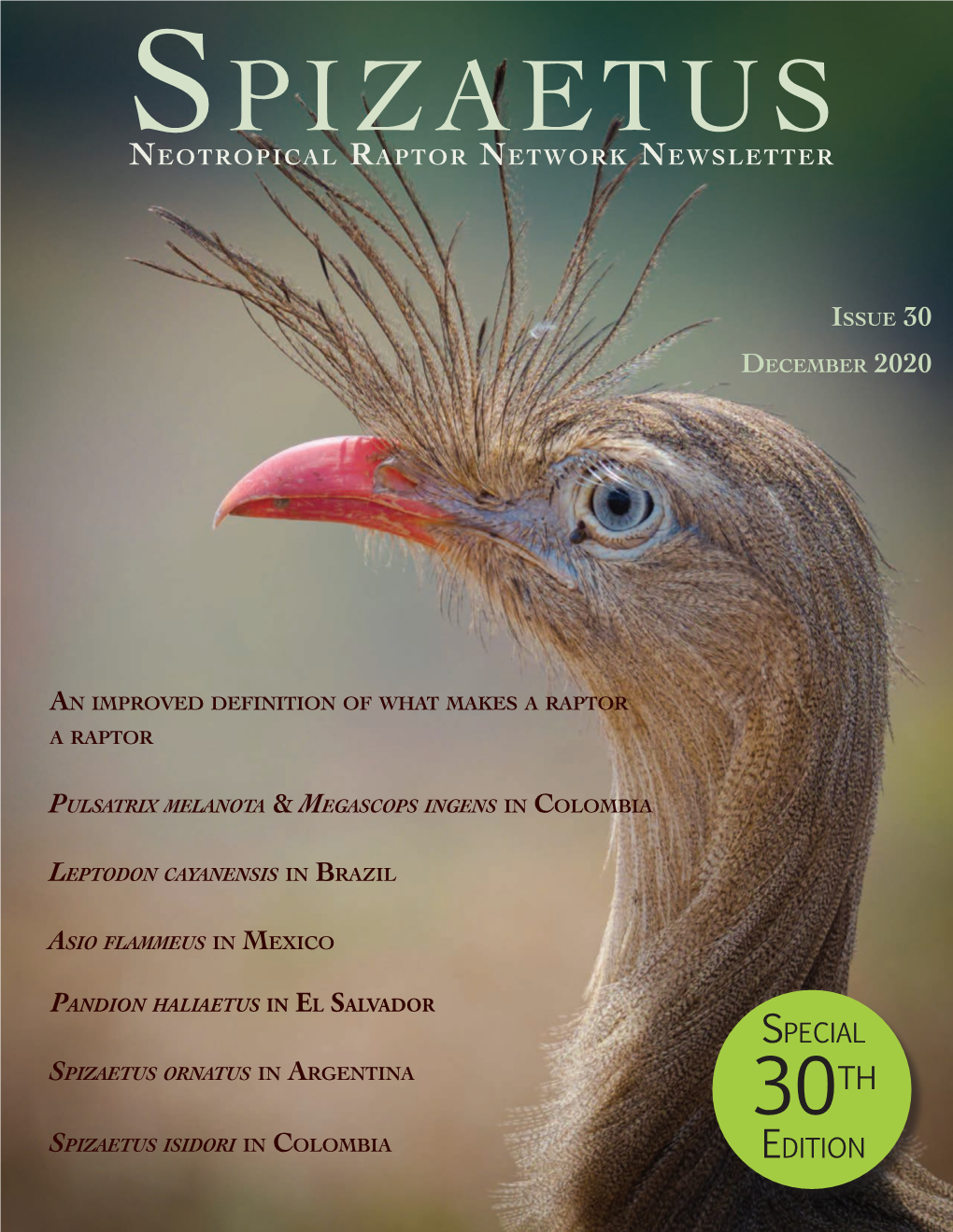 Spizaetus Neotropical Raptor Network Newsletter