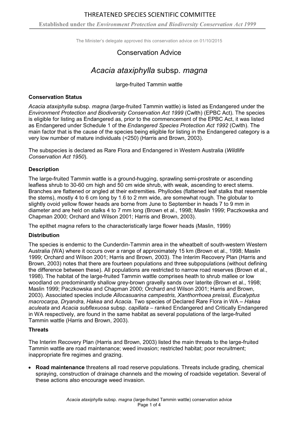 Conservation Advice Acacia Ataxiphylla Subsp. Magna