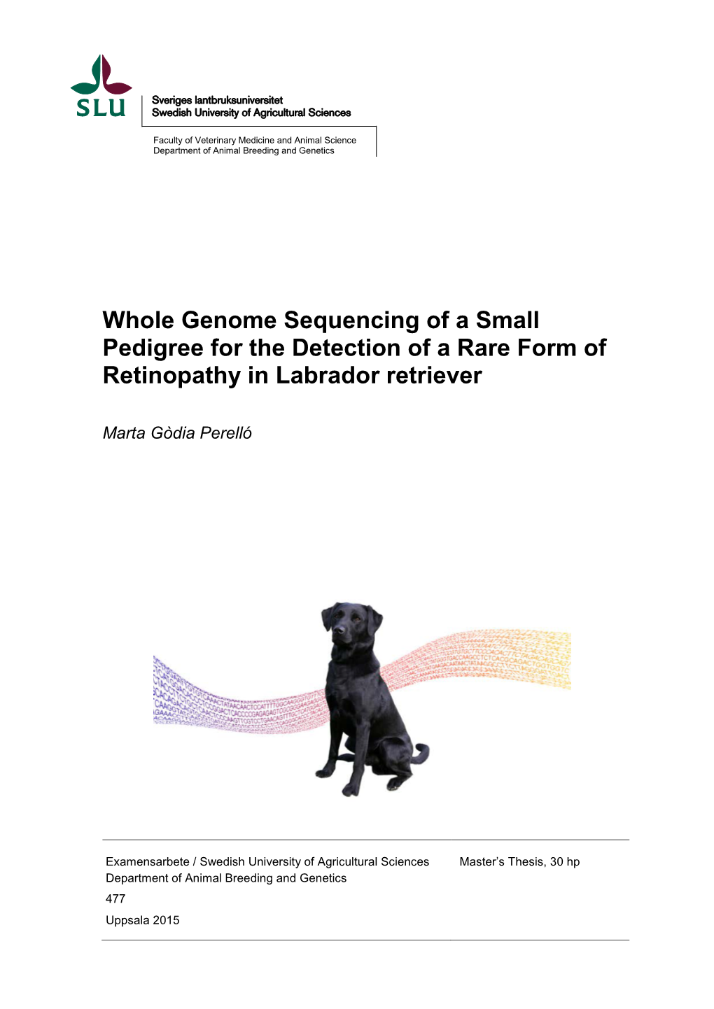 Whole Genome Sequencing of a Small Pedigree for the Detection of a Rare Form of Retinopathy in Labrador Retriever