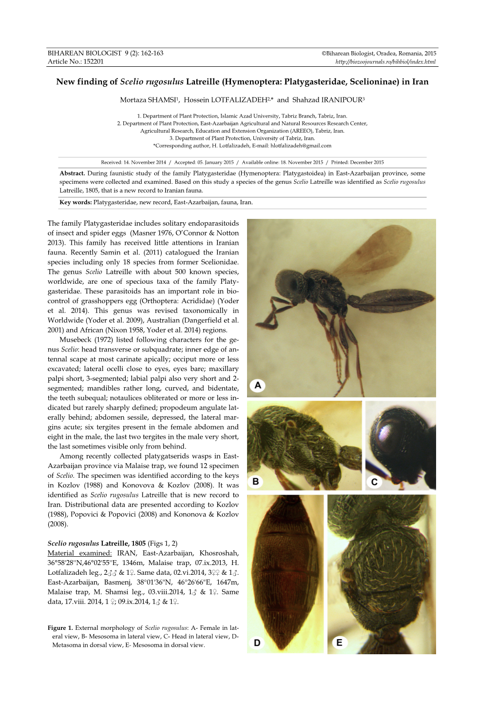 New Finding of Scelio Rugosulus Latreille (Hymenoptera: Platygasteridae, Scelioninae) in Iran