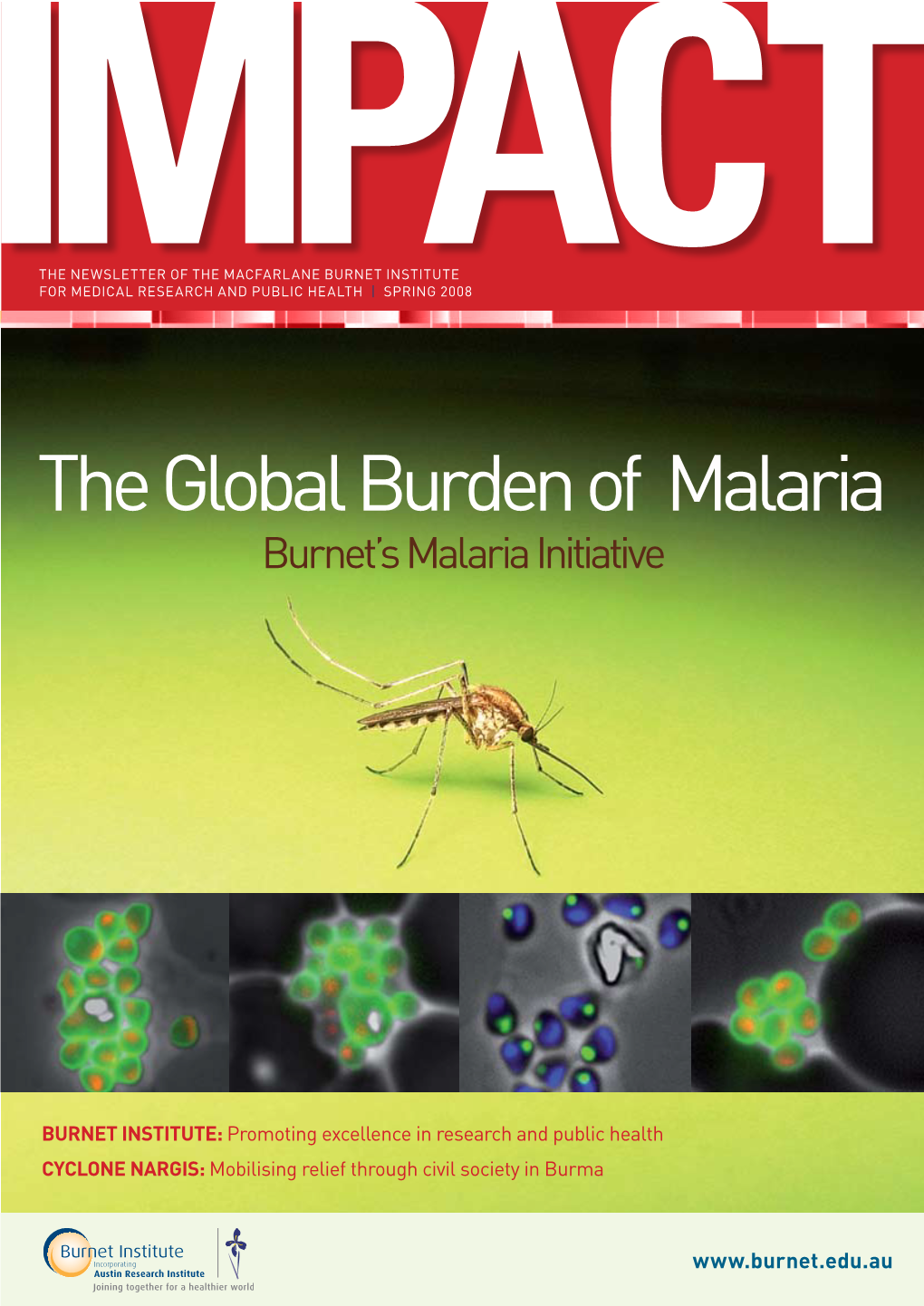 The Global Burden of Malaria