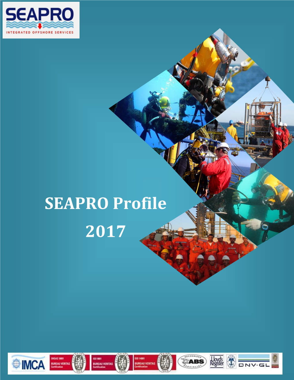 SEAPRO Profile 2017
