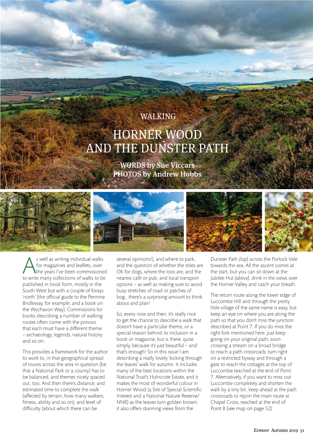 Horner Wood and the Dunster Path