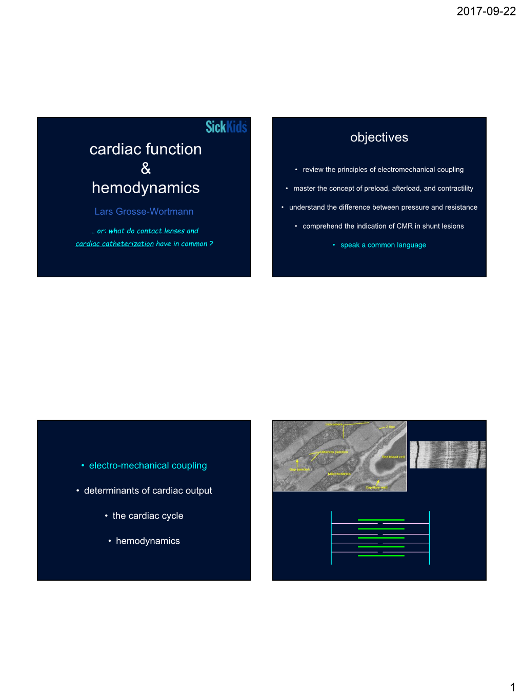 Cardiac Physiology and Hemodynamics