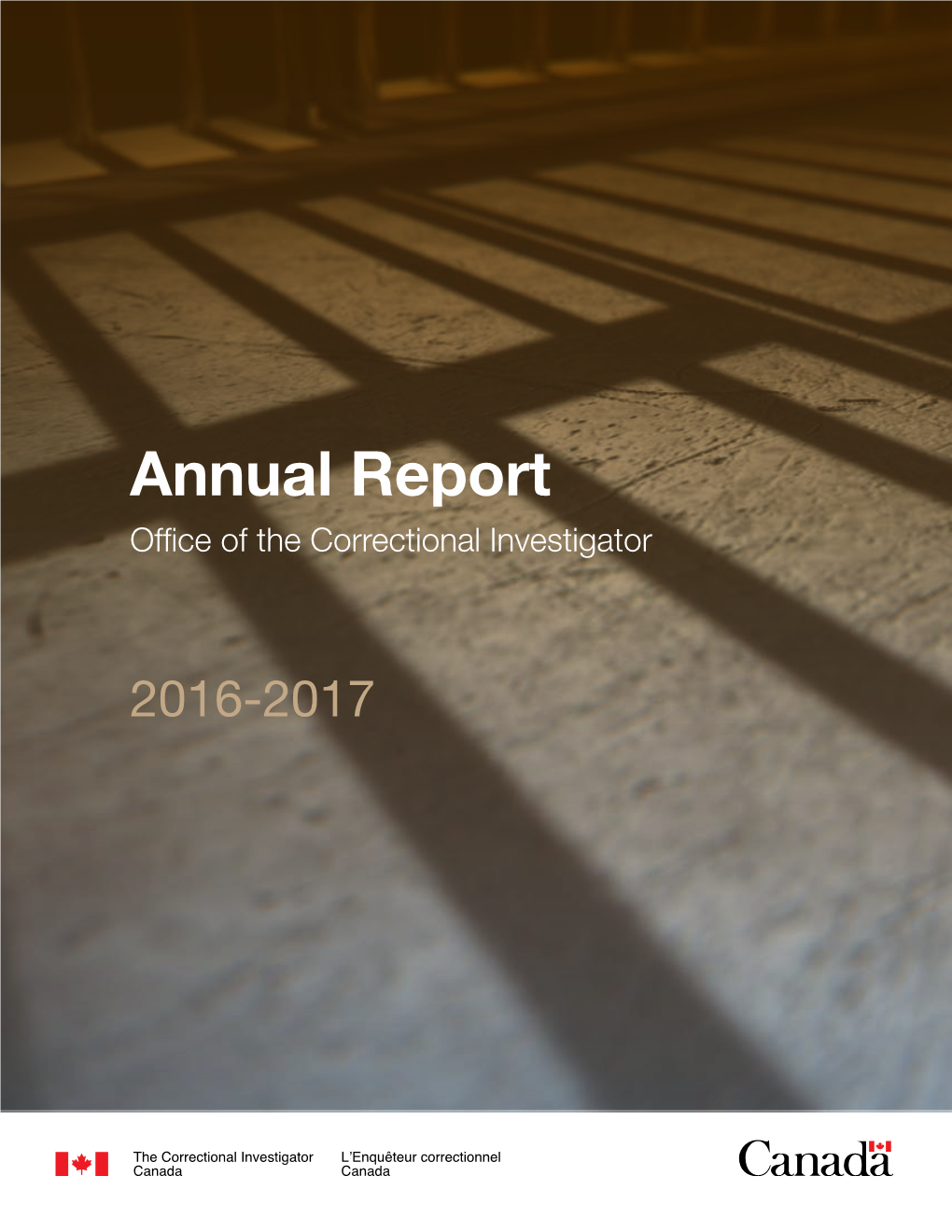 Annual Report 2016–2017