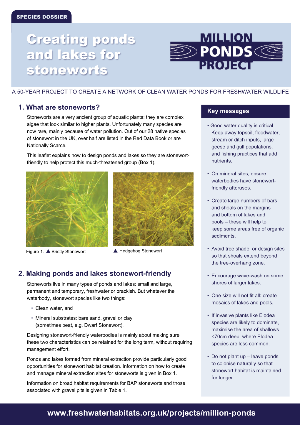 Creating Ponds and Lakes for Stoneworts