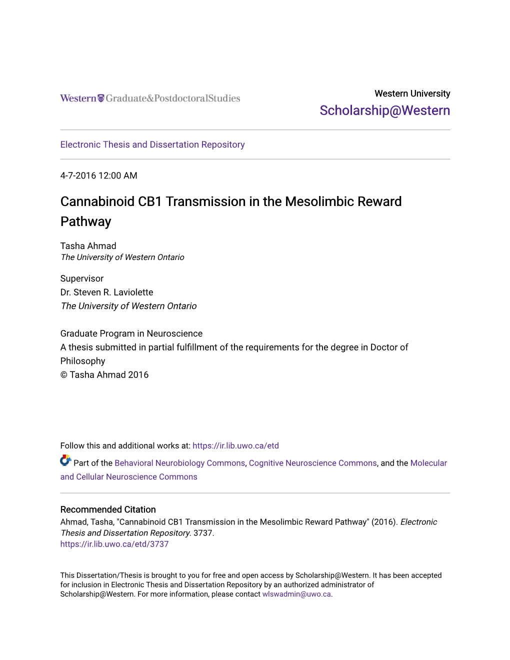 Cannabinoid CB1 Transmission in the Mesolimbic Reward Pathway