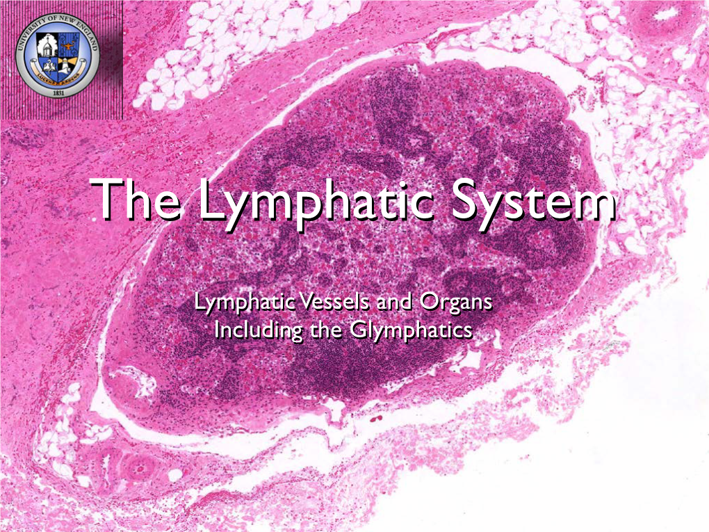 Lymphatic Vessels and Organs Including the Glymphatics