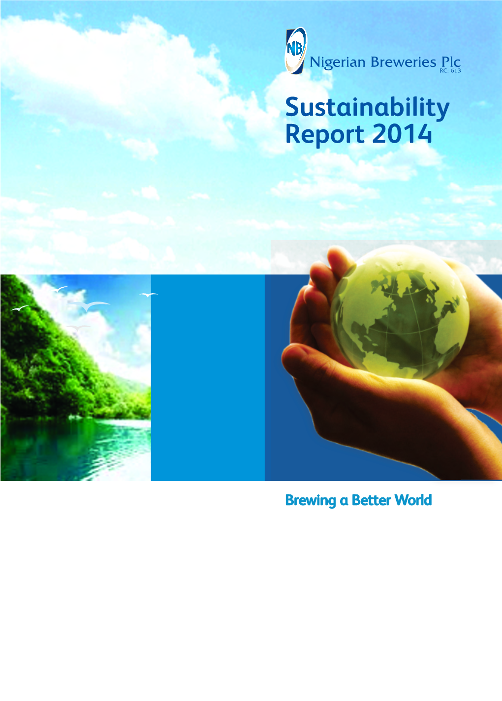 Our Sustainability Report 2014