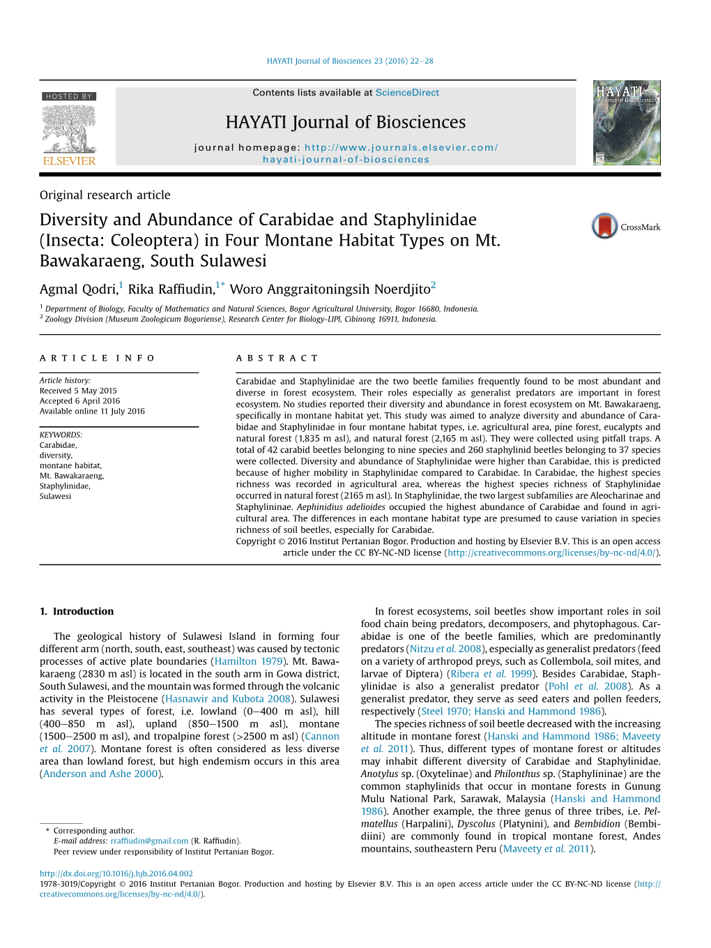 Diversity and Abundance of Carabidae and Staphylinidae (Insecta: Coleoptera) in Four Montane Habitat Types on Mt