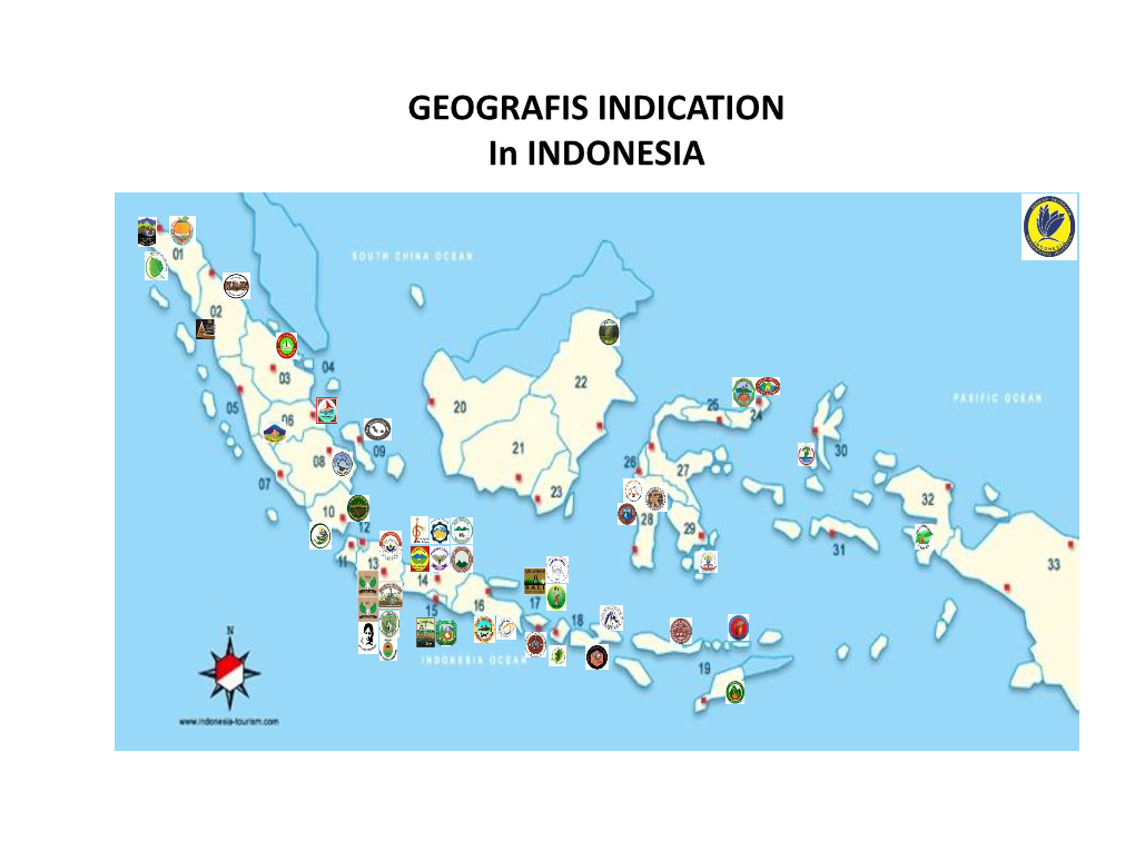 GEOGRAFIS INDICATION in INDONESIA