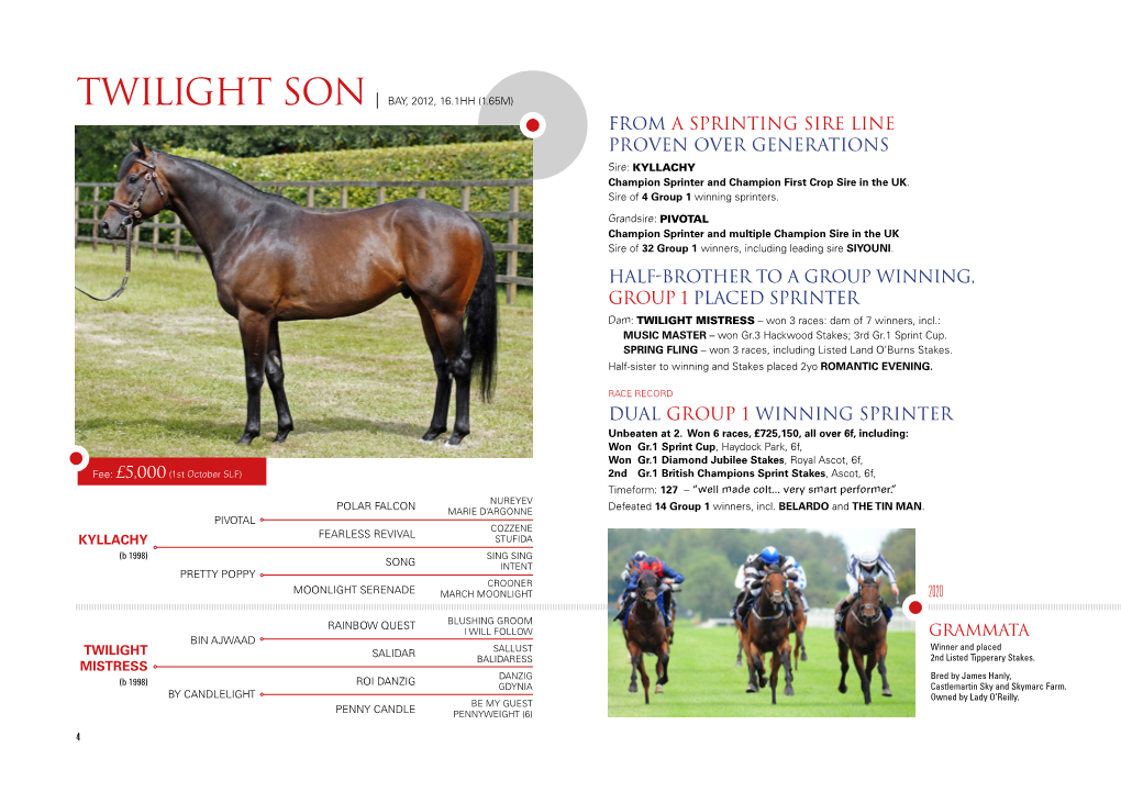 FROM a Sprinting Sire Line Proven Over Generations Half-Brother to A