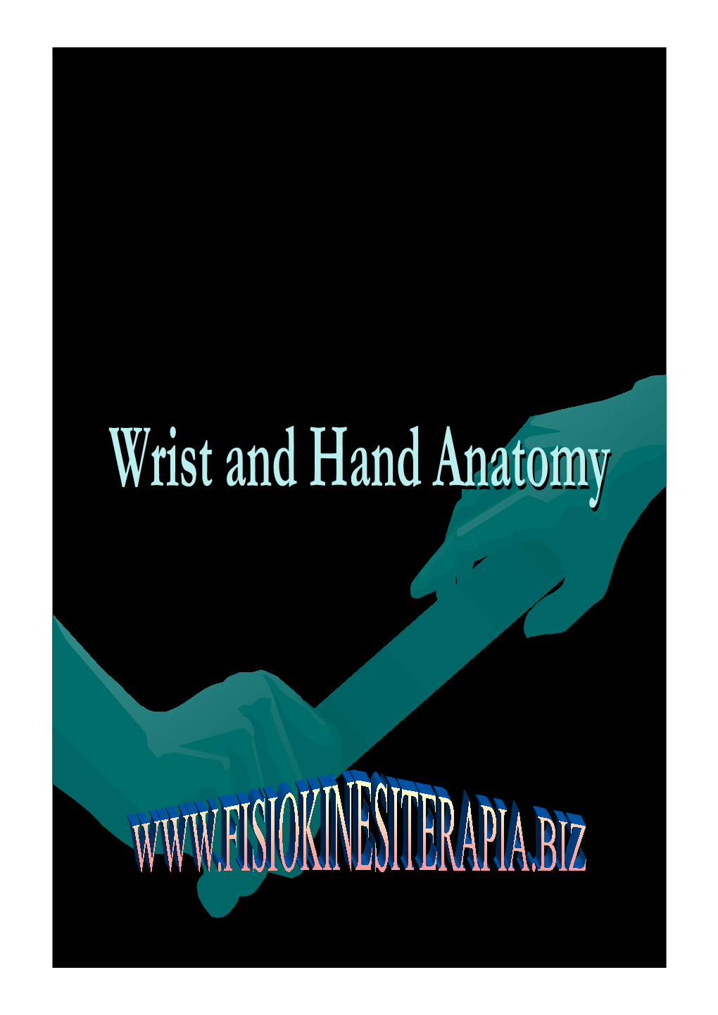 Wrist and Hand Anatomy