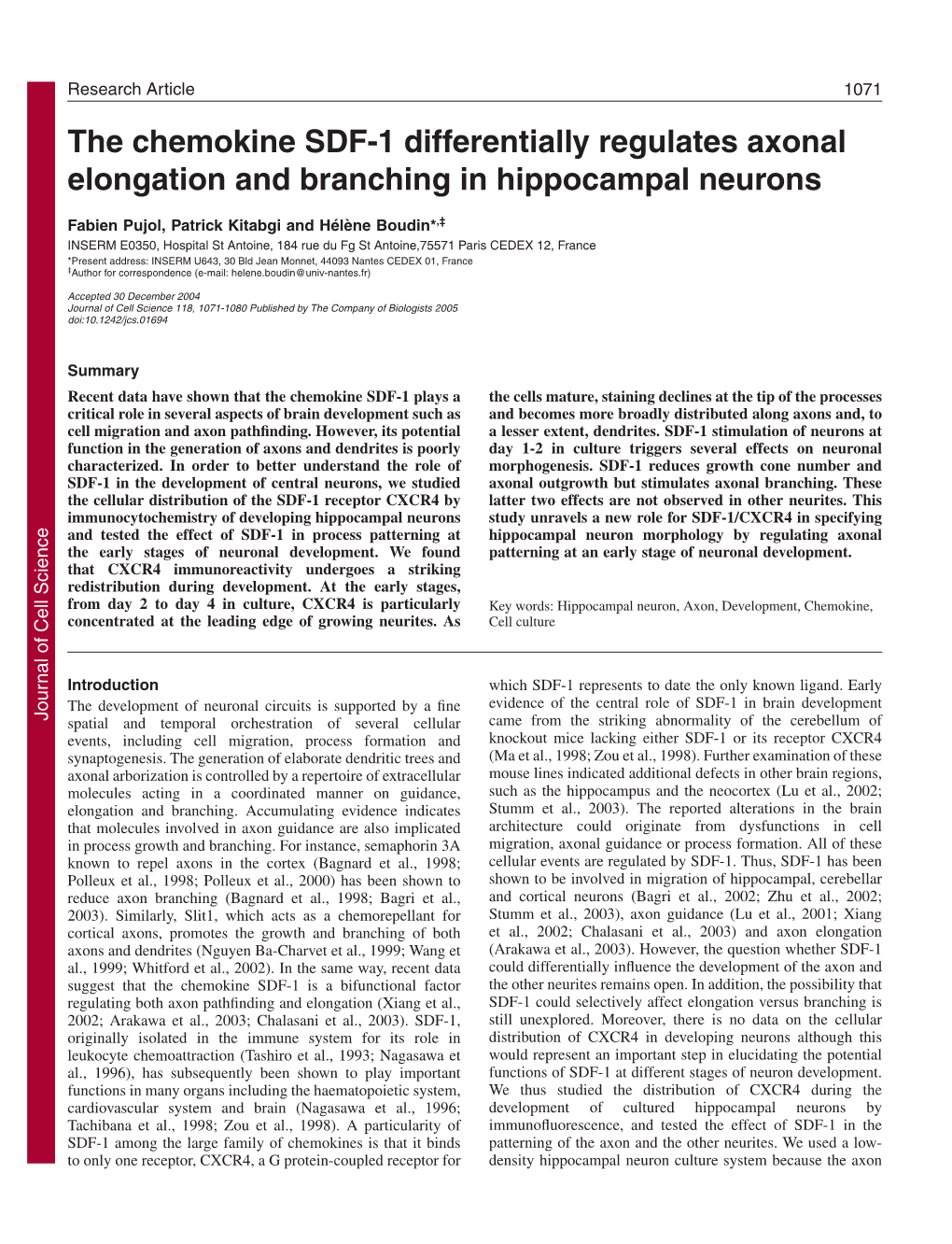 The Chemokine SDF-1 Differentially Regulates Axonal Elongation and Branching in Hippocampal Neurons