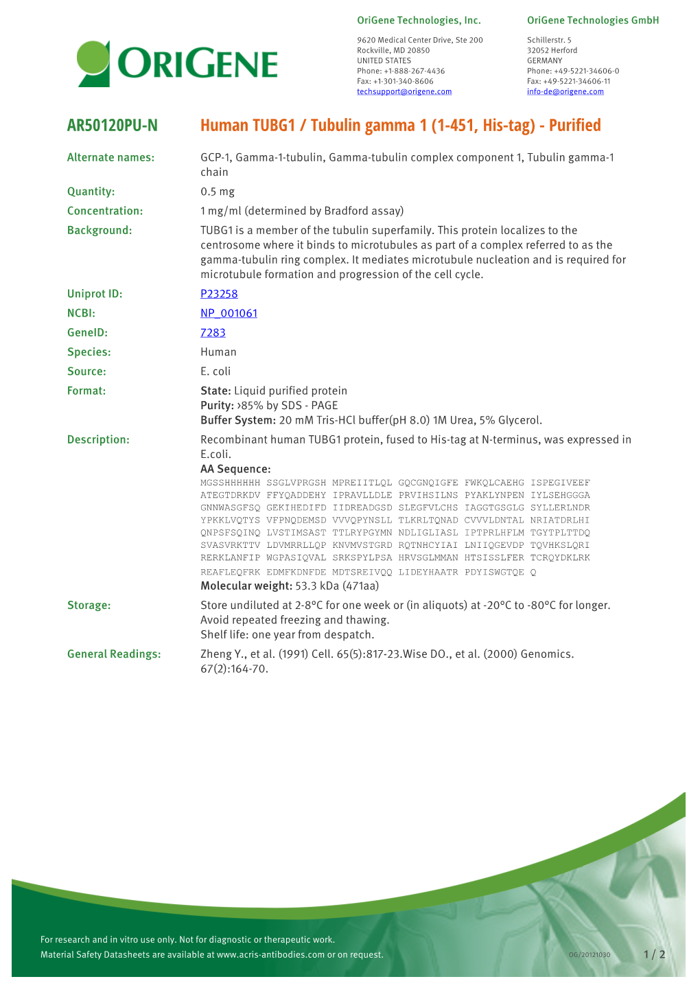 Human TUBG1 / Tubulin Gamma 1 (1-451, His-Tag) - Purified