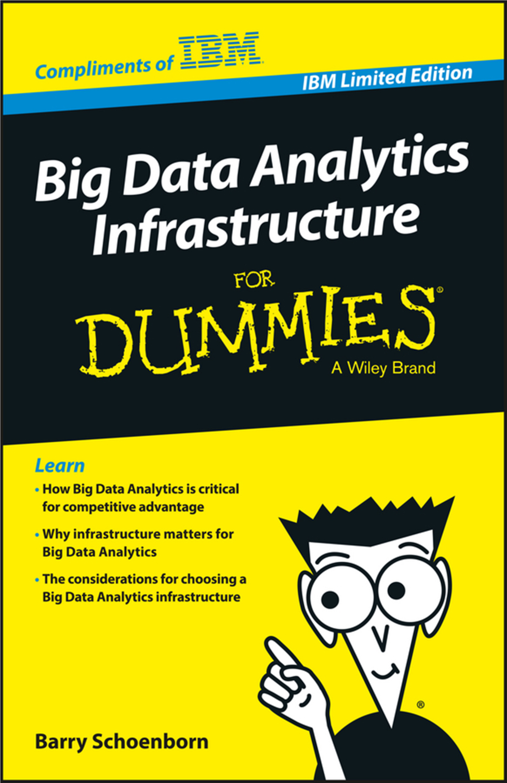 Big Data Analytics Infrastructure for Dummies, IBM Limited Edition