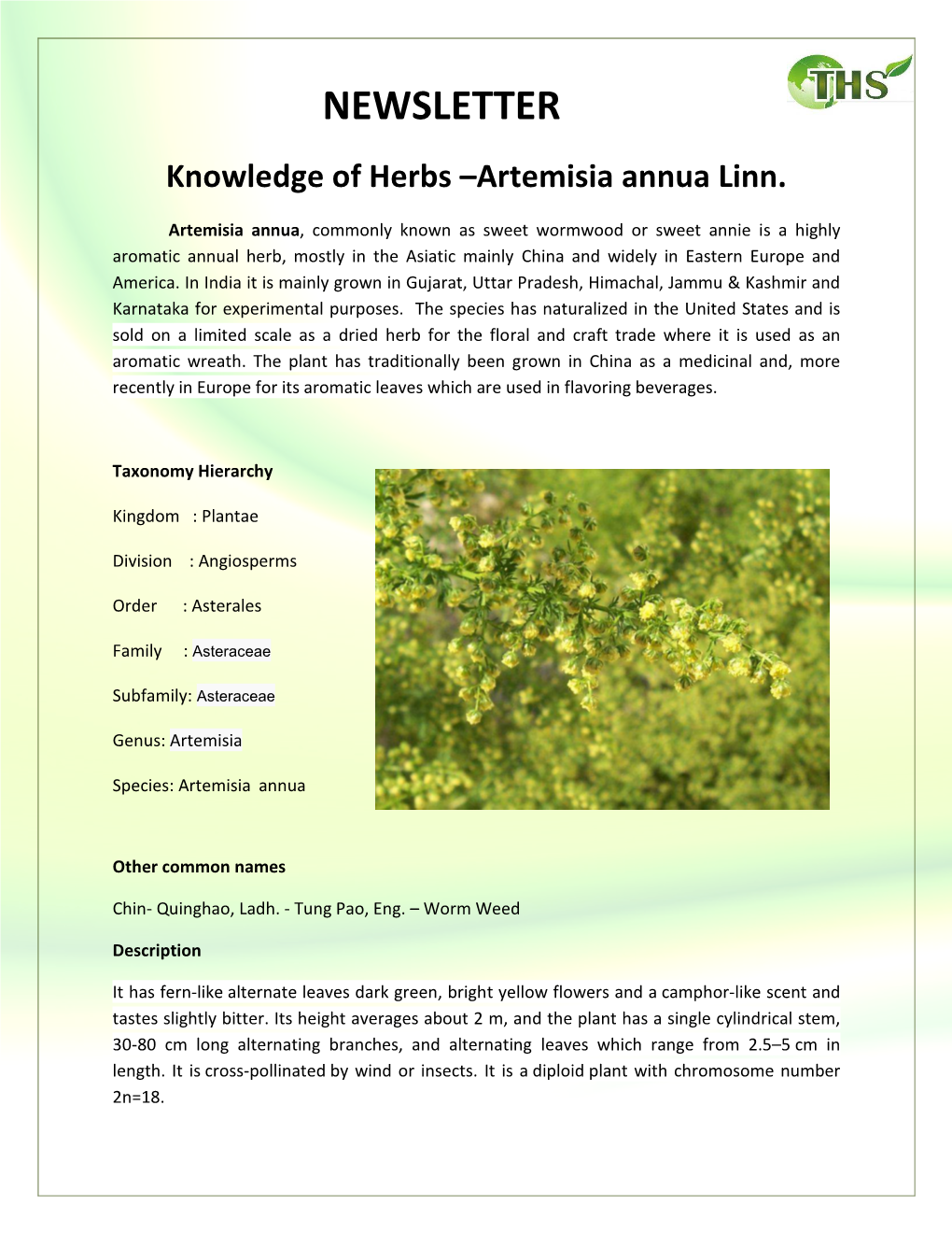 Artemisia Annua Linn