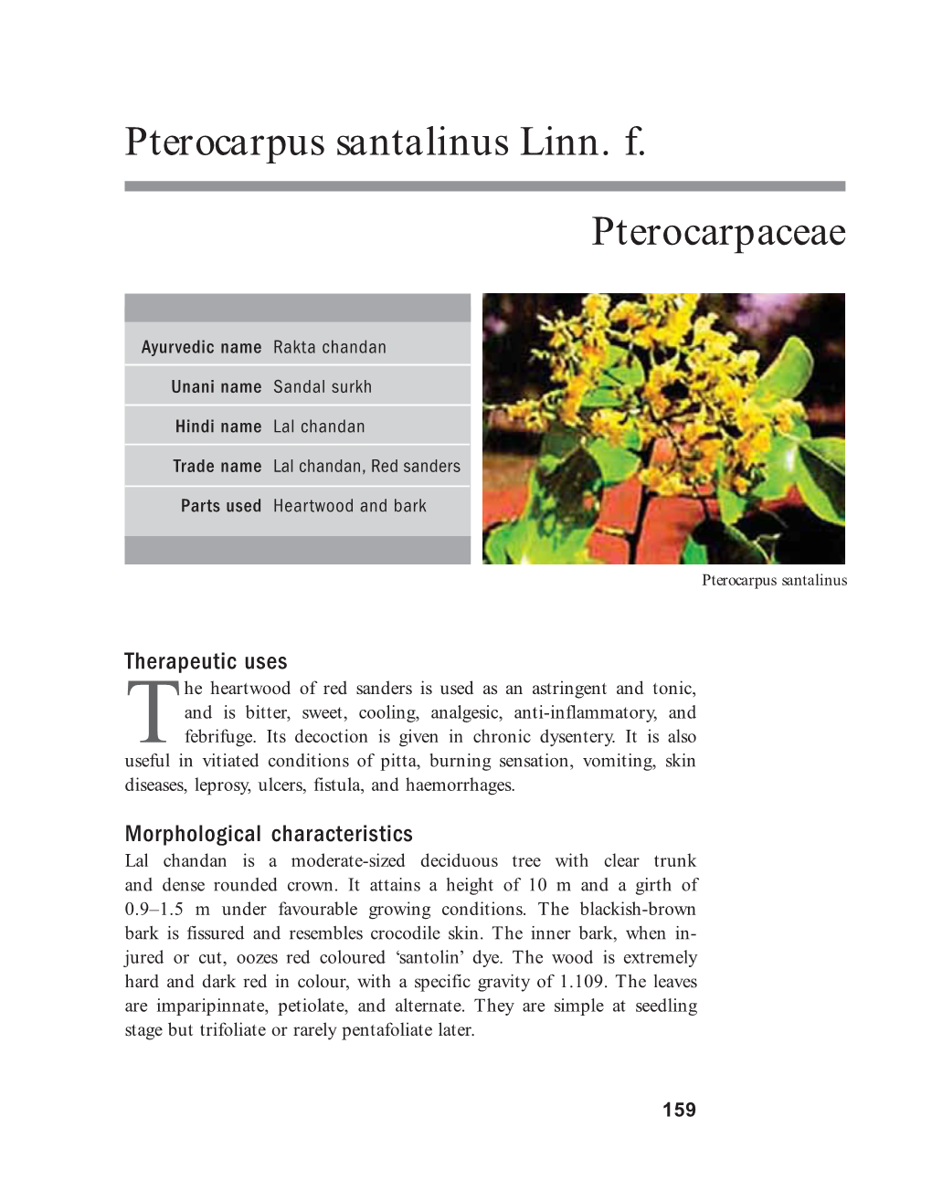 Pterocarpus Santalinus Linn. F. Pterocarpaceae