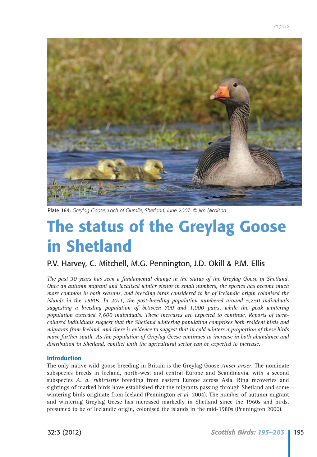 The Status of the Greylag Goose in Shetland P.V