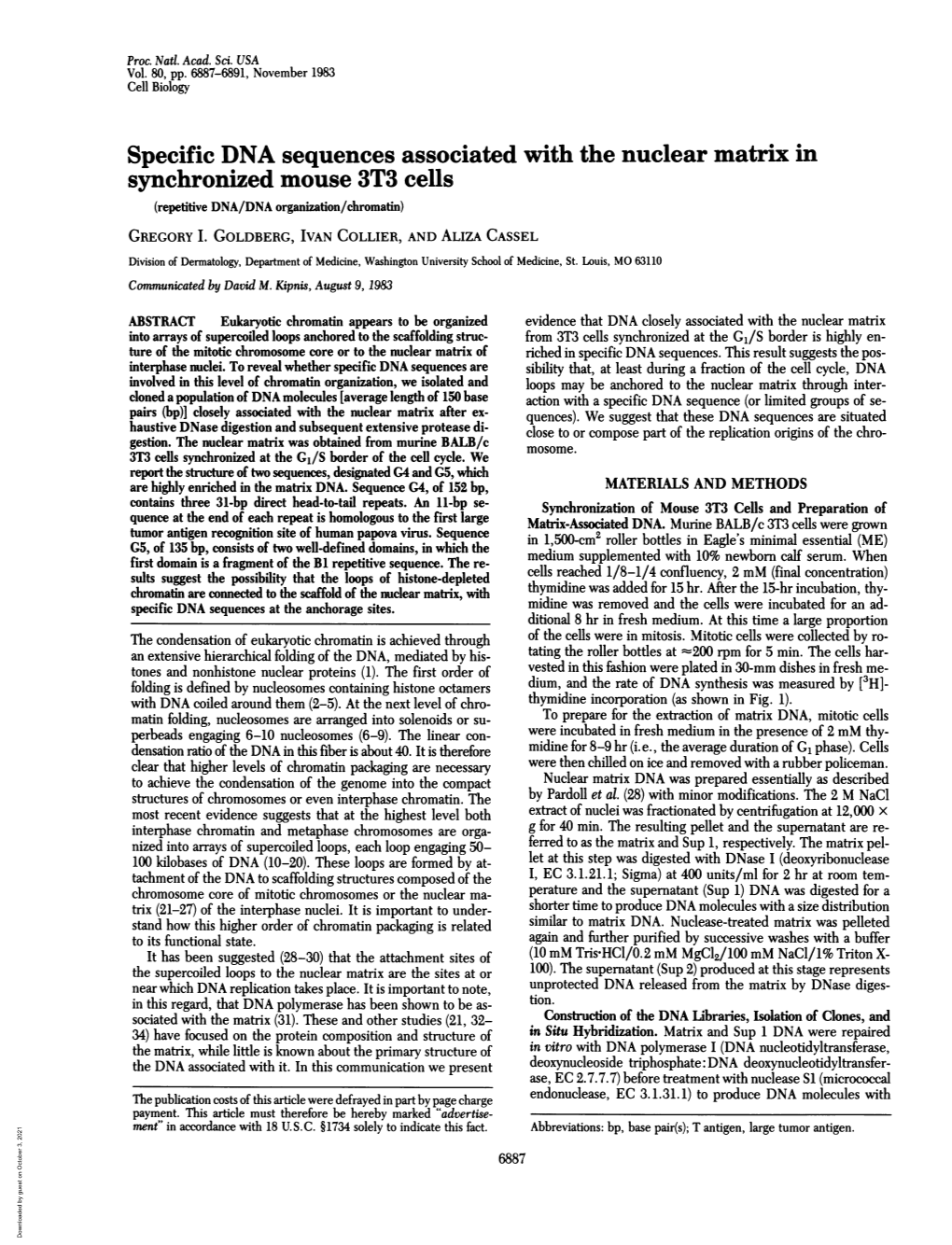 Specific DNA Sequences Associated with the Nuclear Matrix in Synchronized Mouse 3T3 Cells (Repetitive DNA/DNA Organization/Chromatin) GREGORY I