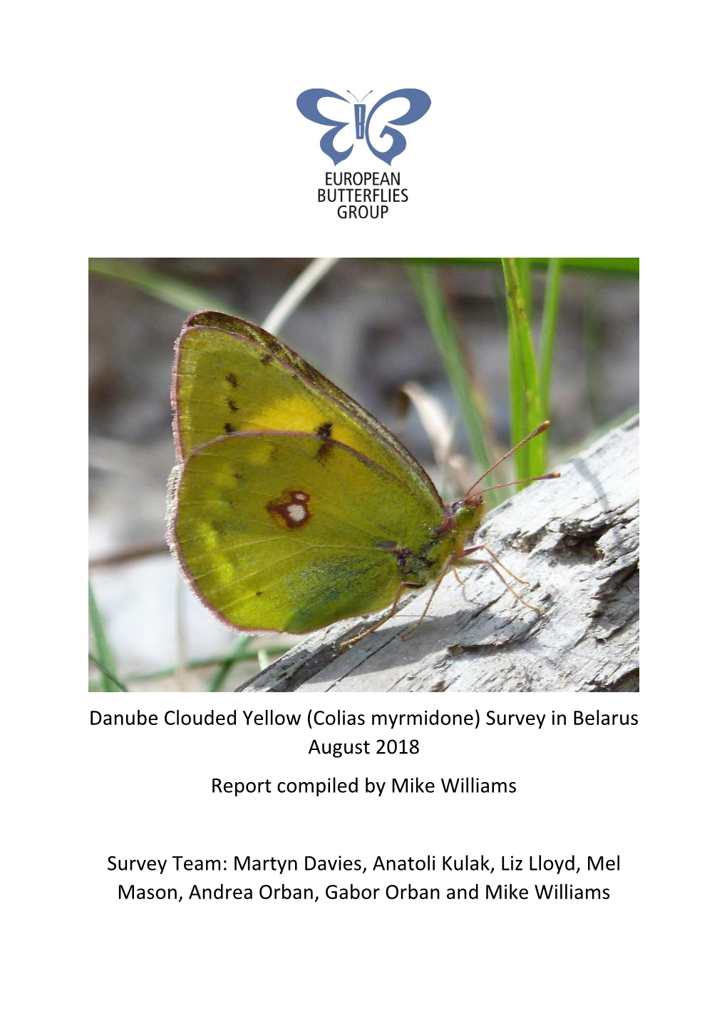 Danube Clouded Yellow (Colias Myrmidone) Survey in Belarus August 2018 Report Compiled by Mike Williams