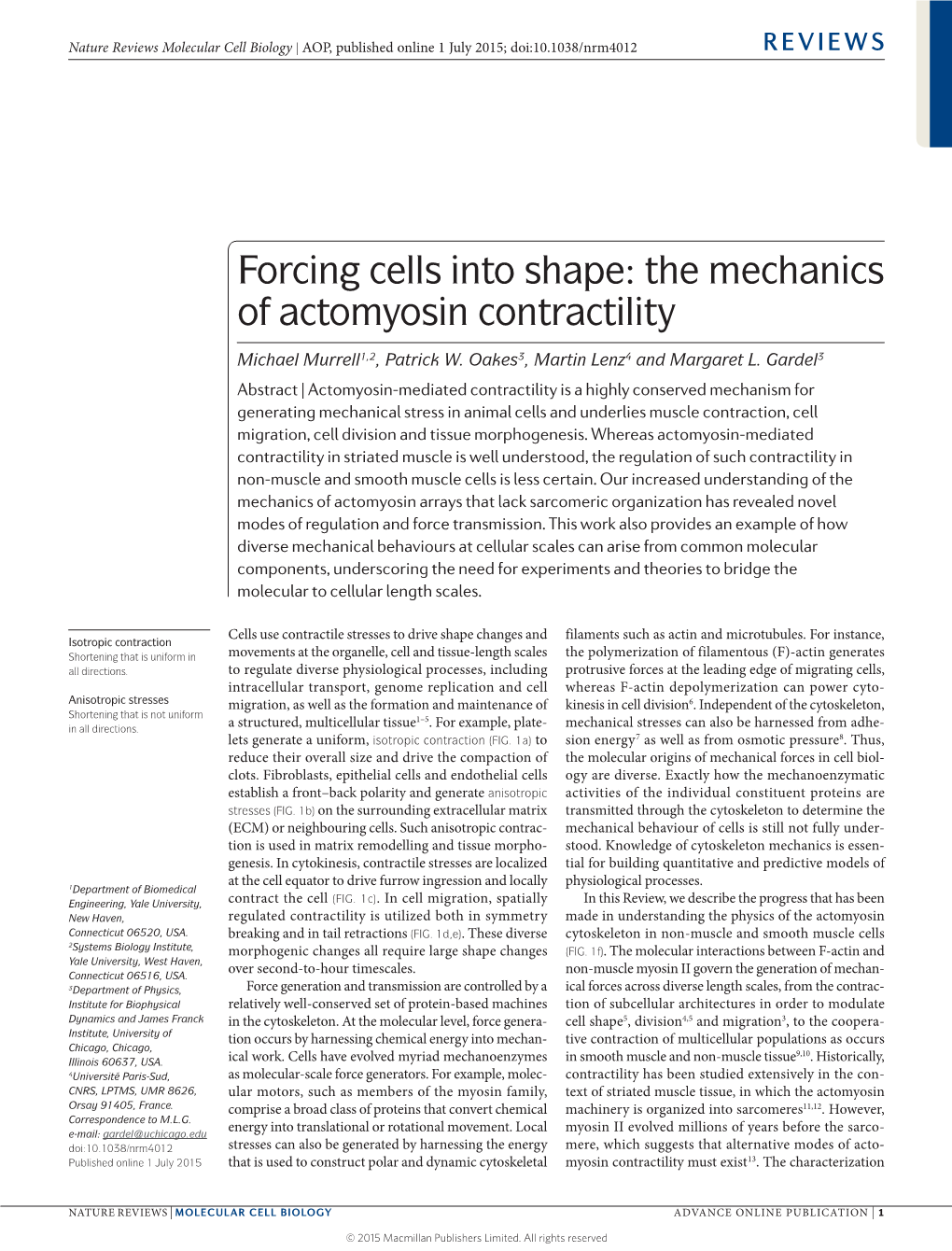 Forcing Cells Into Shape: the Mechanics of Actomyosin Contractility