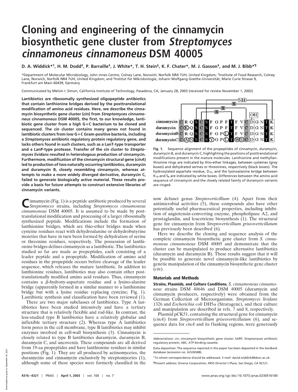 Cloning and Engineering of the Cinnamycin Biosynthetic Gene Cluster from Streptomyces Cinnamoneus Cinnamoneus DSM 40005