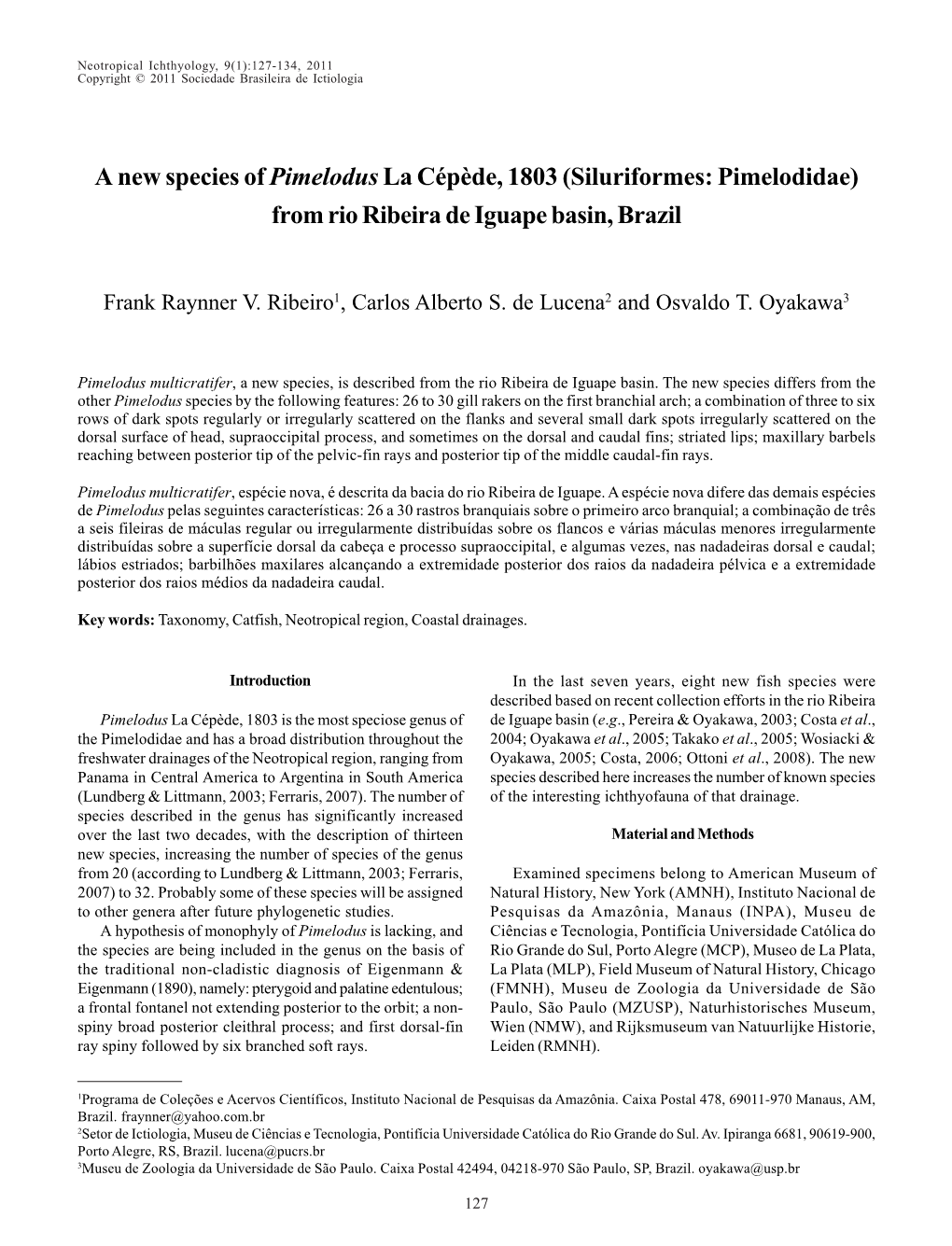 A New Species of Pimelodusla Cépède, 1803 (Siluriformes