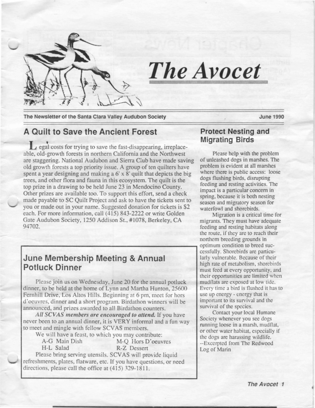 The Avocet ~ - / L ·,