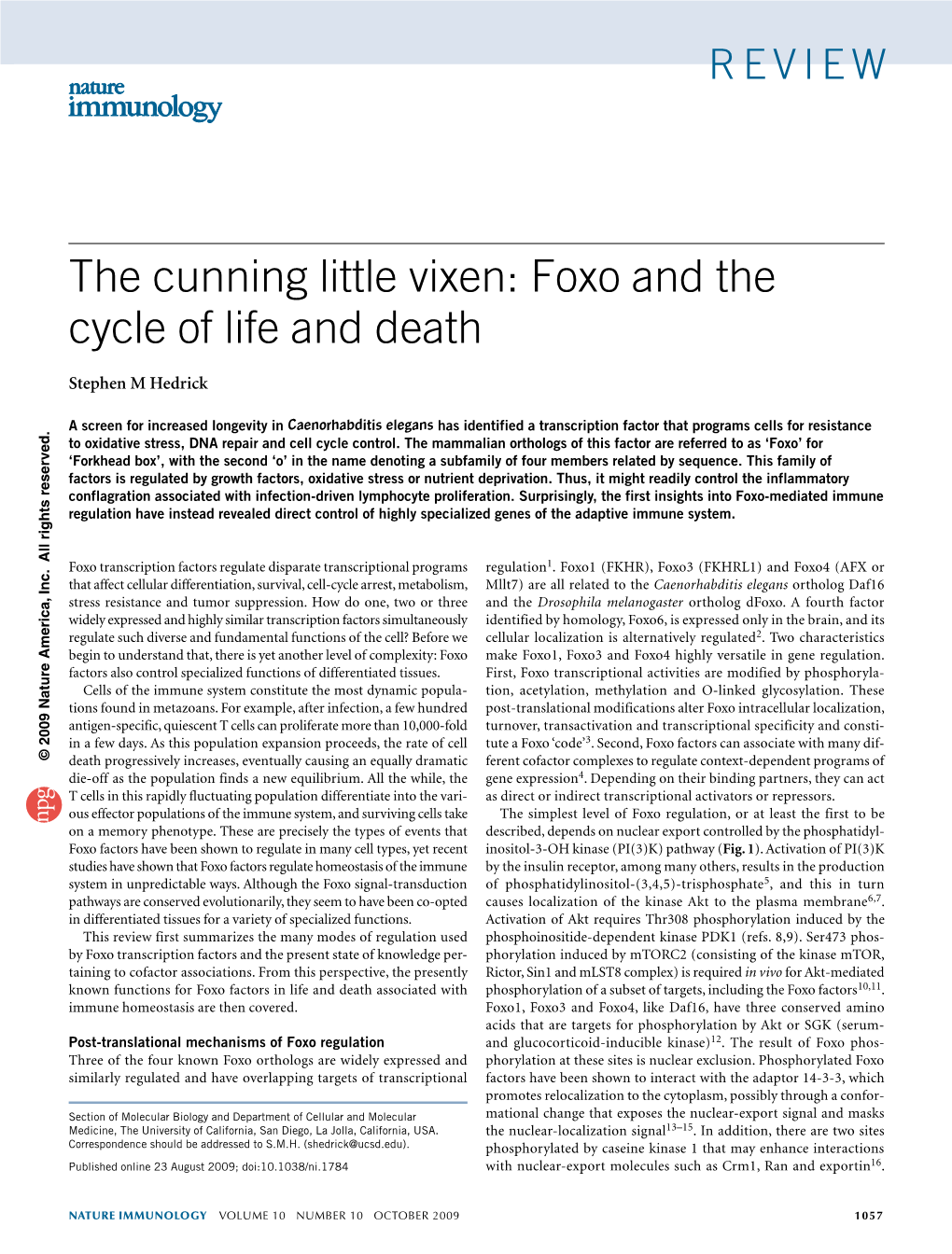 The Cunning Little Vixen: Foxo and the Cycle of Life and Death