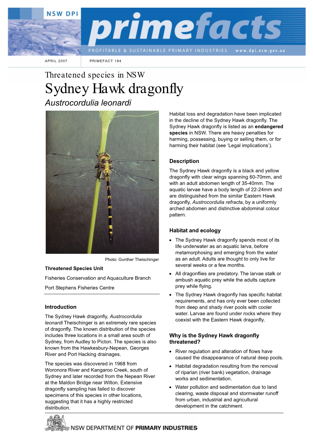 Sydney Hawk Dragonfly Austrocordulia Leonardi Habitat Loss and Degradation Have Been Implicated in the Decline of the Sydney Hawk Dragonfly