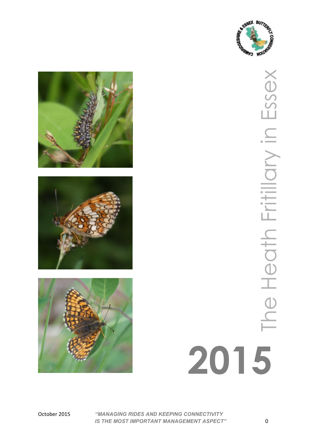 The Heath Fritillary in Essex – Interim Report 2013