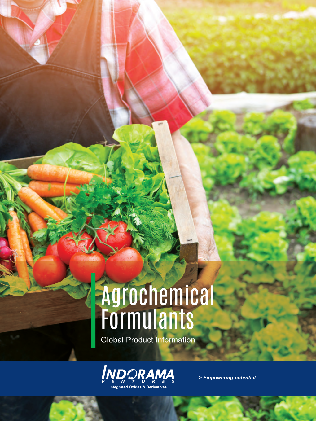 Agrochemical Formulants 02