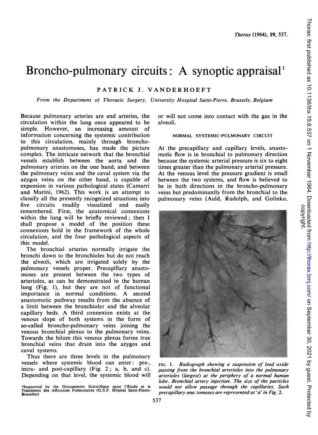 Broncho-Pulmonary Circuits: a Synoptic Appraisal'