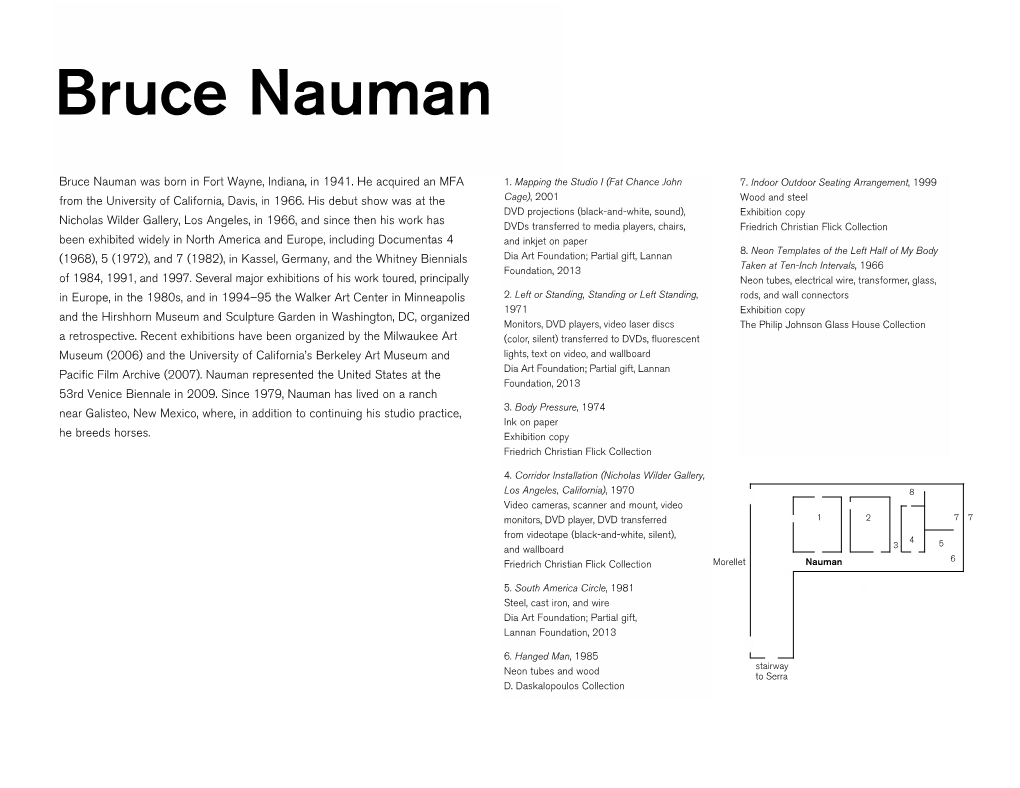 Bruce Nauman.Pdf