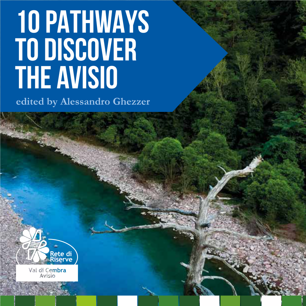 10 Pathways to Discover the Avisio