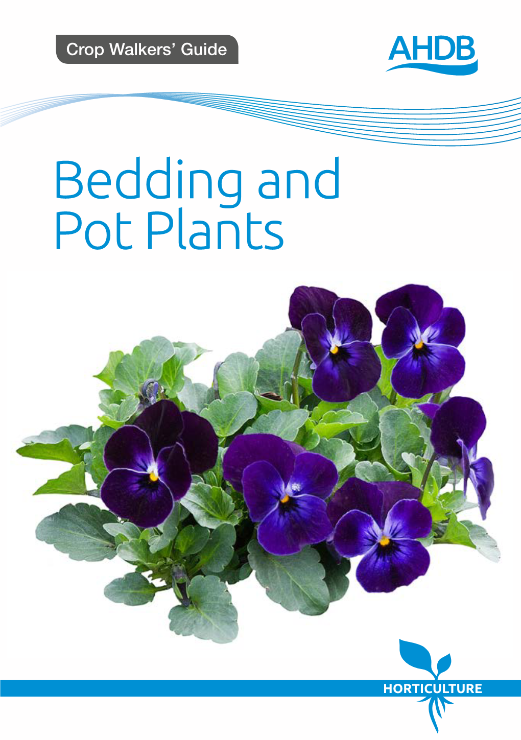 Bedding and Pot Plants