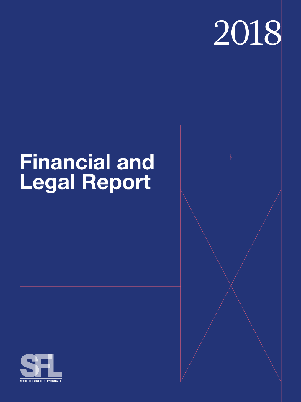 Financial and Legal Report ﻿