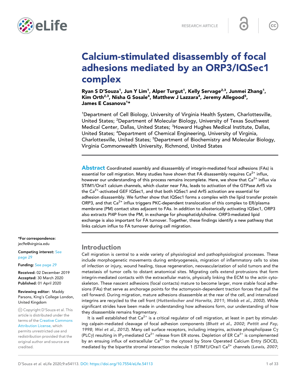 Calcium-Stimulated Disassembly of Focal Adhesions Mediated by An