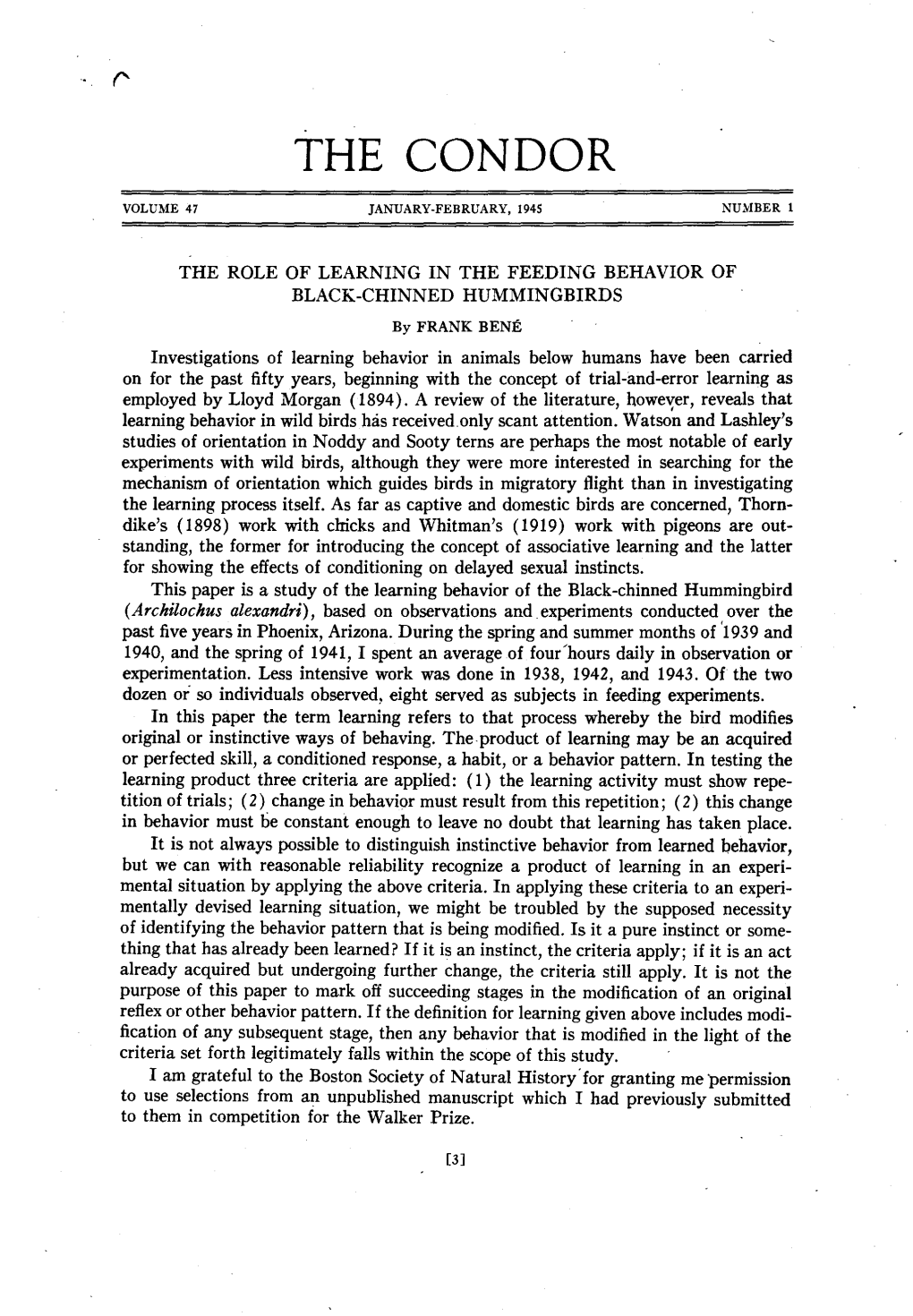 The Role of Learning in the Feeding Behavior of Black-Chinned Hummingbirds