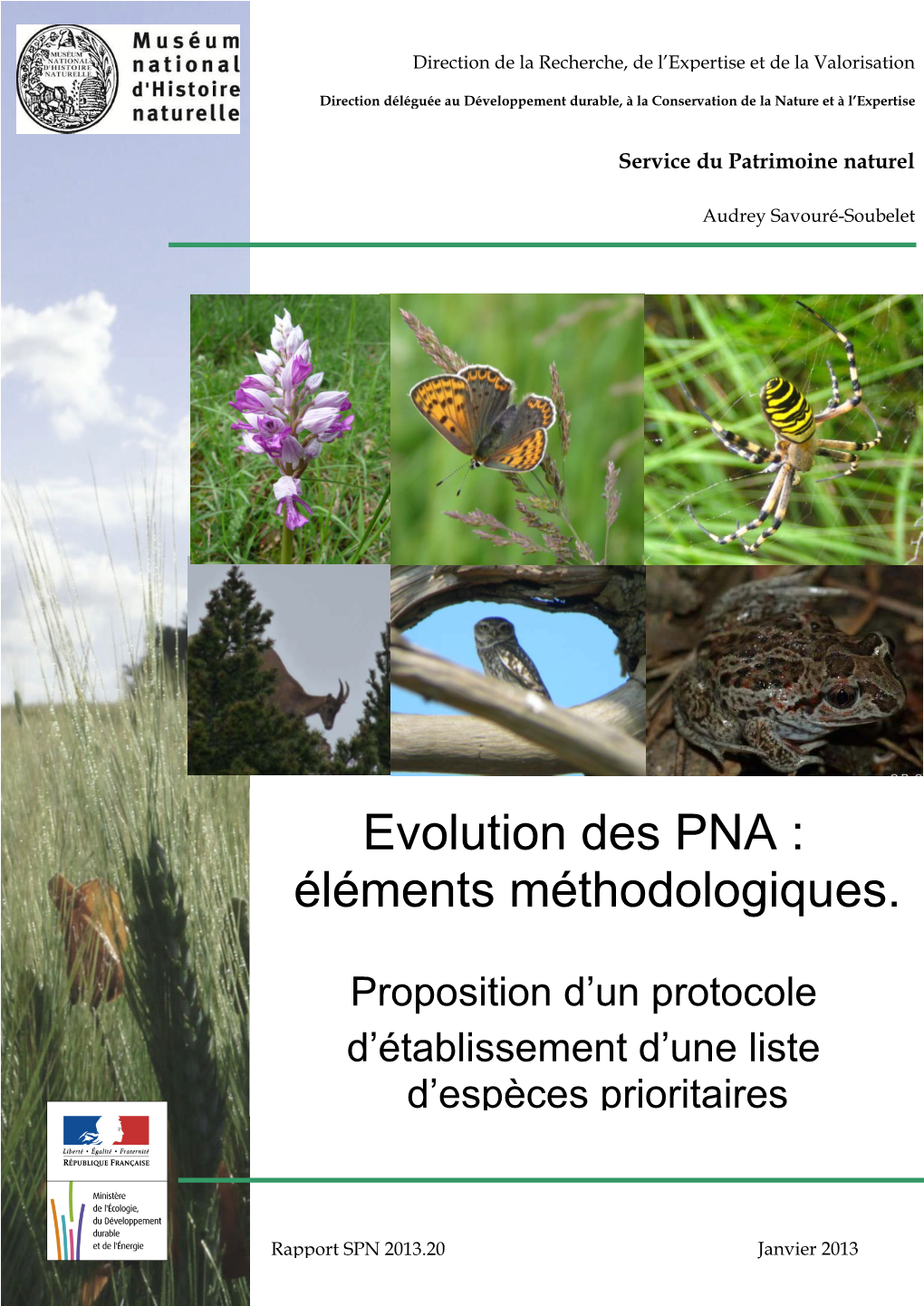 Evolution Des PNA : Éléments Méthodologiques