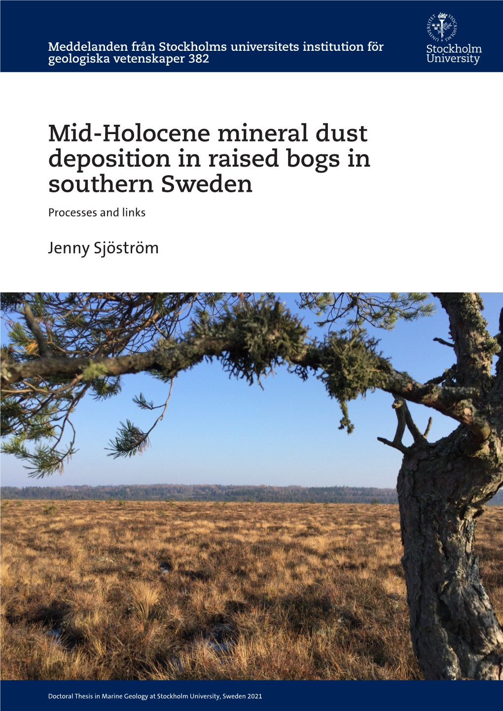 Mid-Holocene Mineral Dust Deposition in Raised Bogs in Southern Sweden